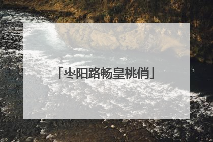 枣阳路畅皇桃俏