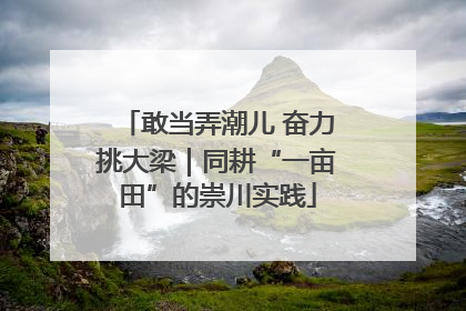 敢当弄潮儿 奋力挑大梁｜同耕“一亩田”的崇川实践
