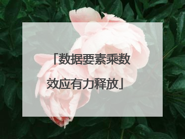 数据要素乘数效应有力释放