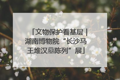 文物保护看基层｜湖南博物院“长沙马王堆汉墓陈列”展