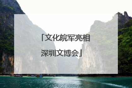 文化皖军亮相深圳文博会