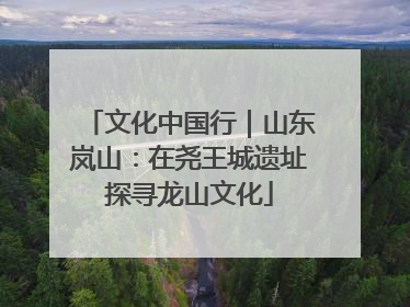 文化中国行｜山东岚山：在尧王城遗址探寻龙山文化