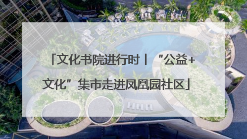 文化书院进行时丨“公益+文化”集市走进凤凰园社区
