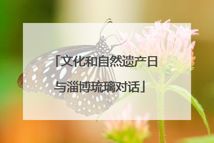 文化和自然遗产日与淄博琉璃对话