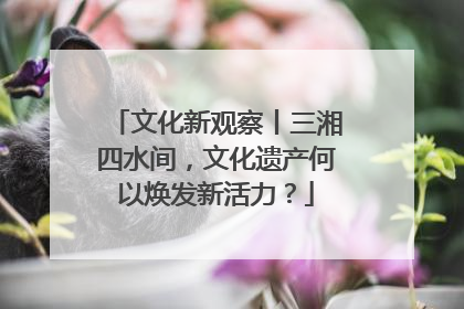 文化新观察丨三湘四水间，文化遗产何以焕发新活力？