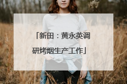 新田：黄永英调研烤烟生产工作