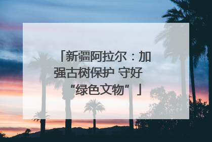 新疆阿拉尔：加强古树保护 守好“绿色文物”