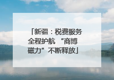 新疆：税费服务全程护航 “商博磁力”不断释放