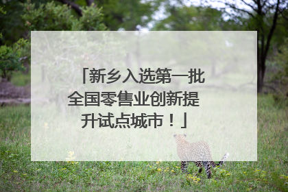 新乡入选第一批全国零售业创新提升试点城市！