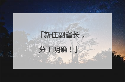 新任副省长，分工明确！