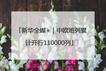 新华全媒+｜中欧班列累计开行110000列