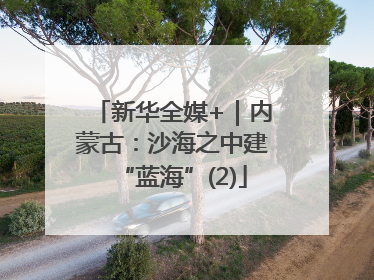 新华全媒+｜内蒙古：沙海之中建“蓝海”(2)