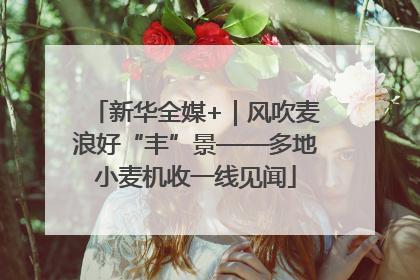 新华全媒+｜风吹麦浪好“丰”景——多地小麦机收一线见闻