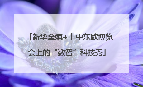 新华全媒+丨中东欧博览会上的“数智”科技秀