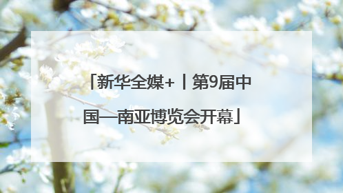 新华全媒+丨第9届中国—南亚博览会开幕