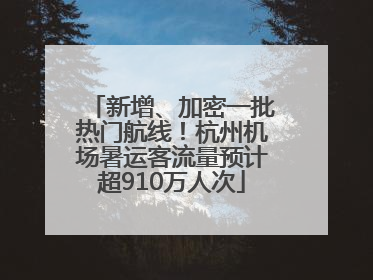 新增、加密一批热门航线！杭州机场暑运客流量预计超910万人次