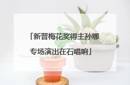 新晋梅花奖得主孙娜专场演出在石唱响