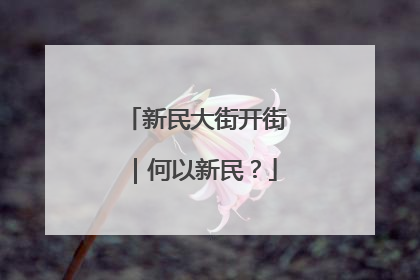新民大街开街｜何以新民？