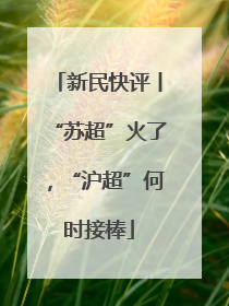 新民快评丨“苏超”火了，“沪超”何时接棒