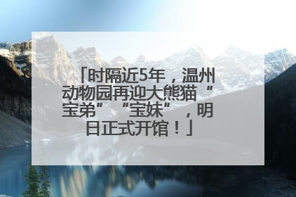 时隔近5年，温州动物园再迎大熊猫“宝弟”“宝妹”，明日正式开馆！