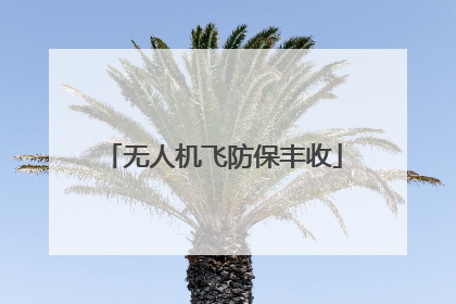 无人机飞防保丰收