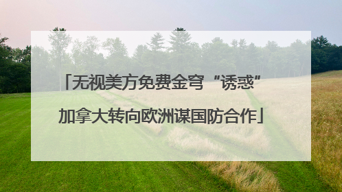 无视美方免费金穹“诱惑” 加拿大转向欧洲谋国防合作