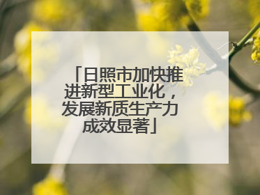日照市加快推进新型工业化，发展新质生产力成效显著