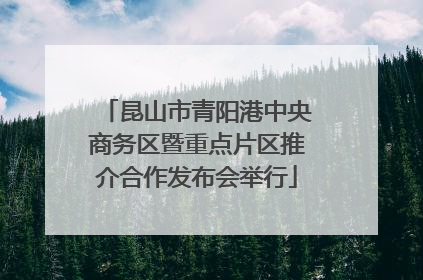 昆山市青阳港中央商务区暨重点片区推介合作发布会举行