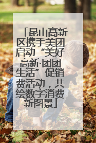 昆山高新区携手美团启动“美好高新·团团生活”促销费活动，共绘数字消费新图景