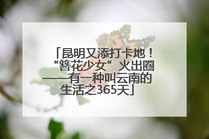 昆明又添打卡地！“簪花少女”火出圈——有一种叫云南的生活之365天