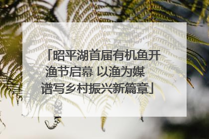 昭平湖首届有机鱼开渔节启幕 以渔为媒 谱写乡村振兴新篇章