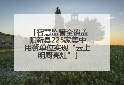 智慧监管全覆盖 阳新县225家集中用餐单位实现“云上明厨亮灶”