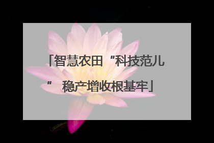 智慧农田“科技范儿” 稳产增收根基牢