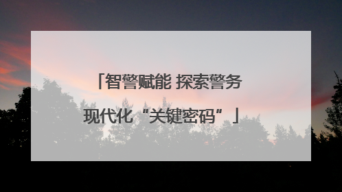 智警赋能 探索警务现代化“关键密码”