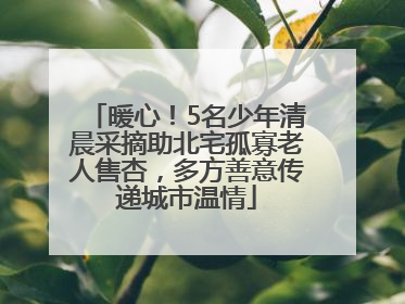 暖心！5名少年清晨采摘助北宅孤寡老人售杏，多方善意传递城市温情