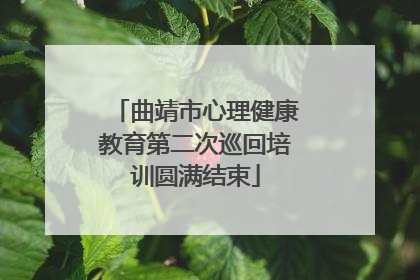 曲靖市心理健康教育第二次巡回培训圆满结束
