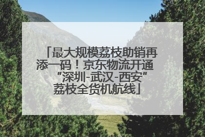 最大规模荔枝助销再添一码！京东物流开通“深圳-武汉-西安” 荔枝全货机航线
