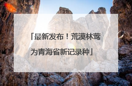 最新发布！荒漠林莺为青海省新记录种