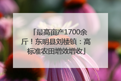 最高亩产1700余斤！东明县刘楼镇：高标准农田增效增收