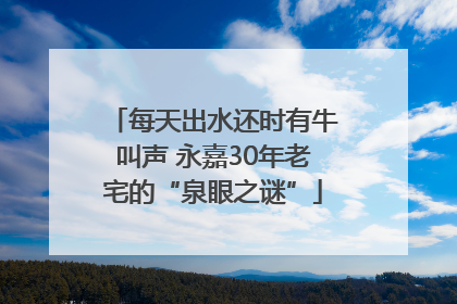 每天出水还时有牛叫声 永嘉30年老宅的“泉眼之谜”