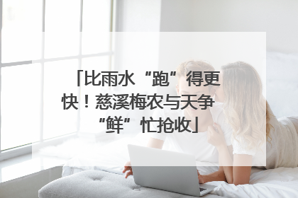 比雨水“跑”得更快！慈溪梅农与天争“鲜”忙抢收