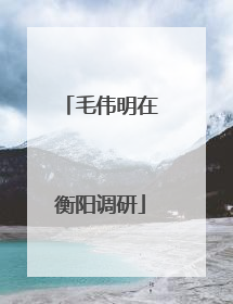 毛伟明在衡阳调研