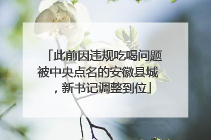 此前因违规吃喝问题被中央点名的安徽县城，新书记调整到位
