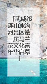 武威祁连山冰沟河景区第二届马兰花文化嘉年华启幕