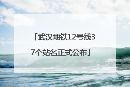 武汉地铁12号线37个站名正式公布