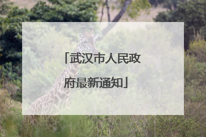 武汉市人民政府最新通知