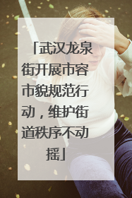 武汉龙泉街开展市容市貌规范行动，维护街道秩序不动摇