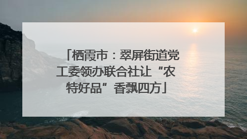 栖霞市：翠屏街道党工委领办联合社让“农特好品”香飘四方