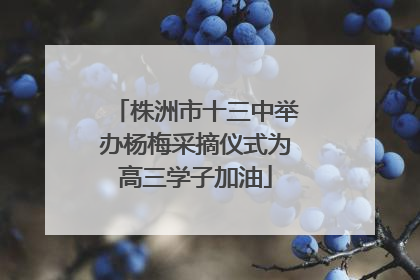 株洲市十三中举办杨梅采摘仪式为高三学子加油