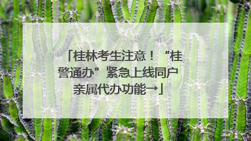 桂林考生注意！“桂警通办”紧急上线同户亲属代办功能→